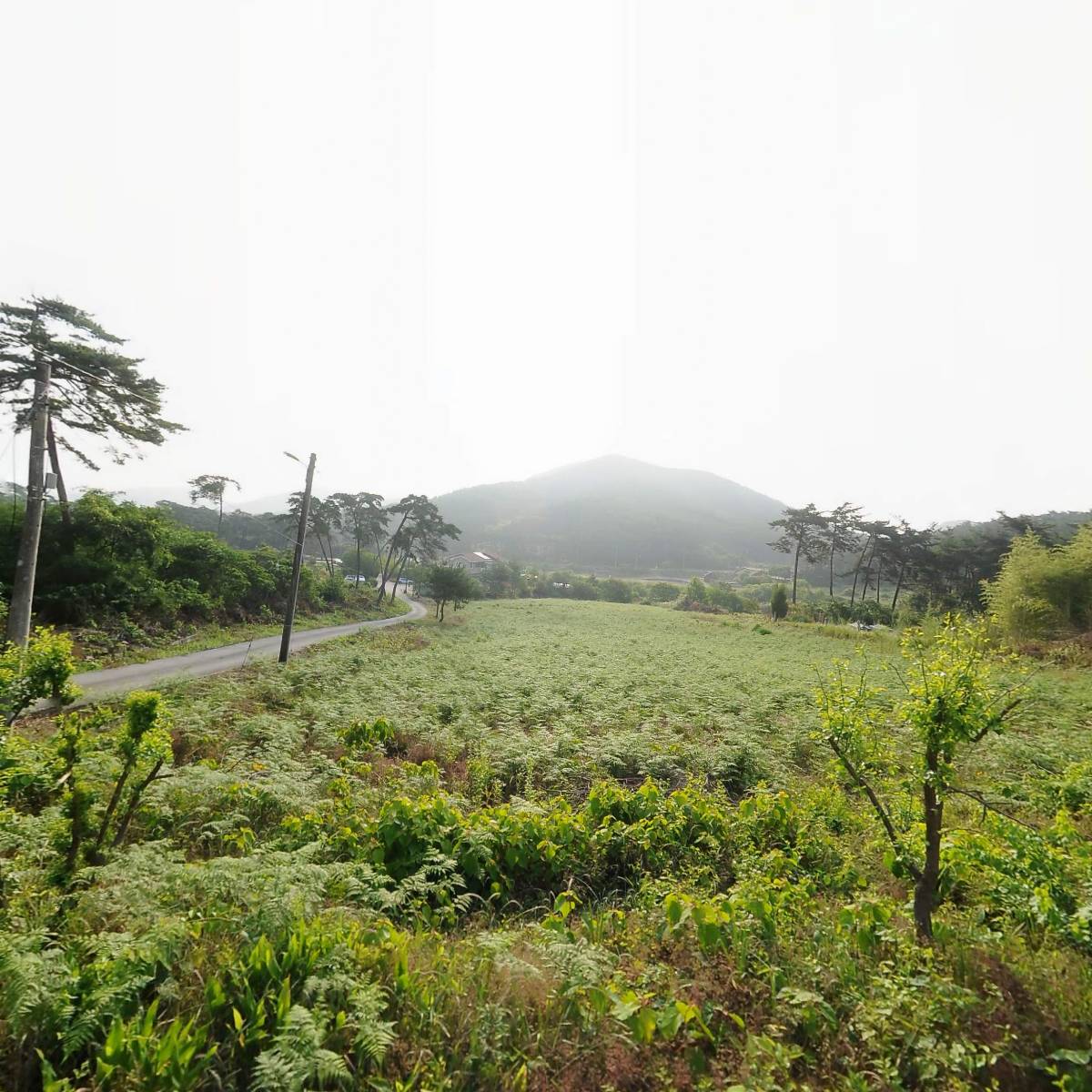 아리울과학 영농조합법인_3