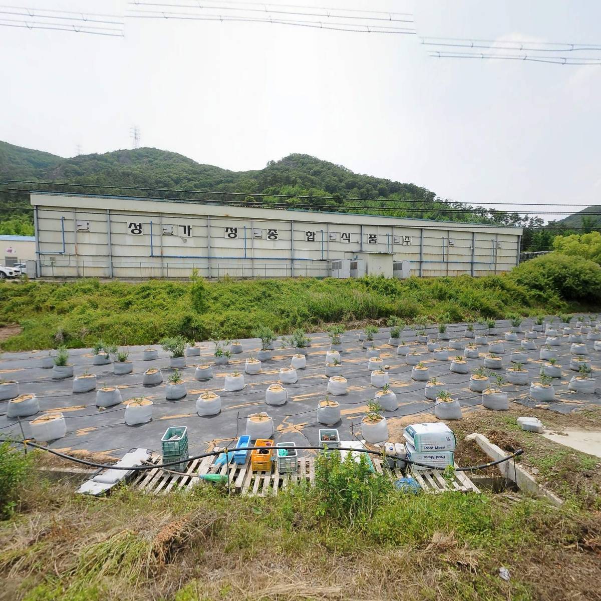 성가정종합식품（주）