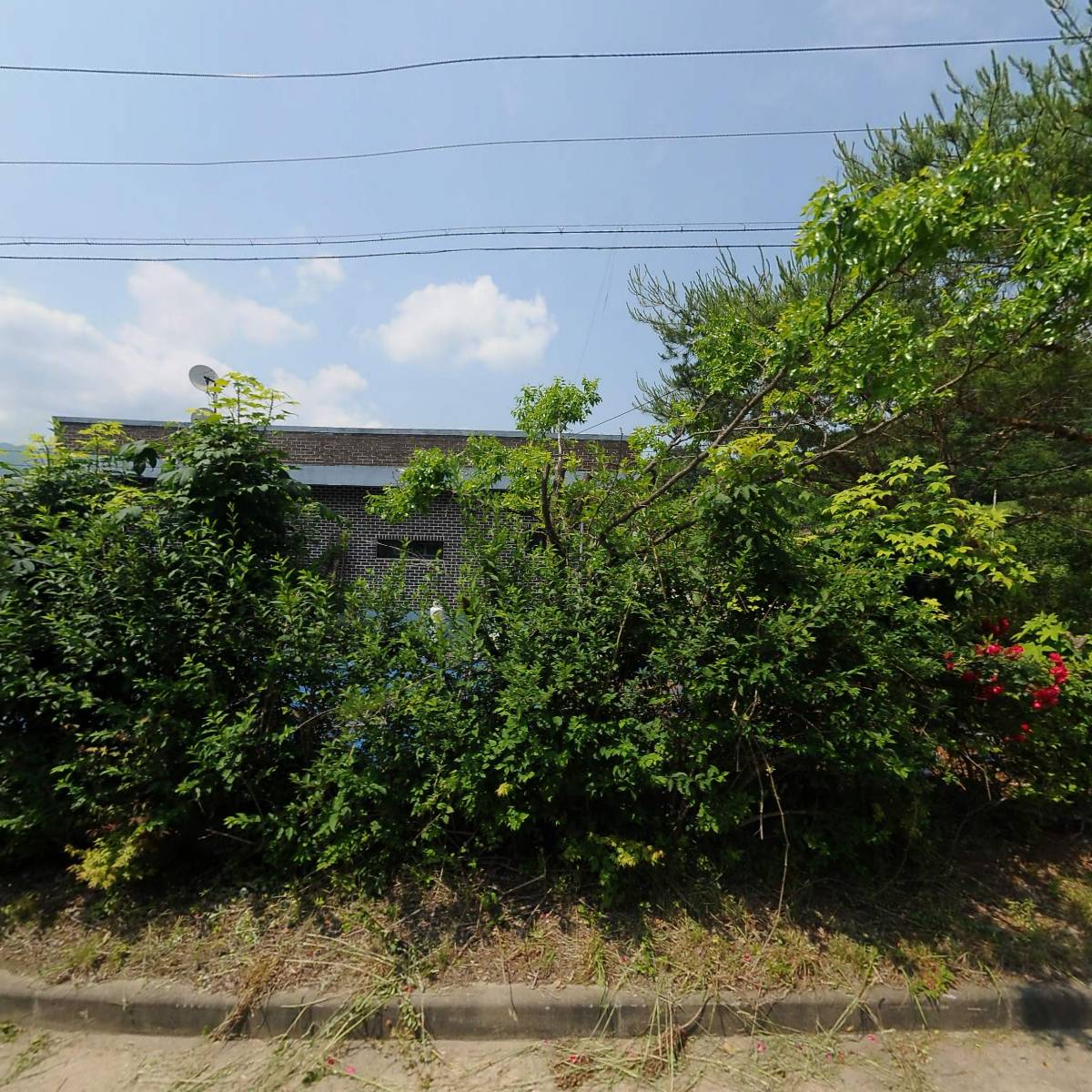 사람과세상