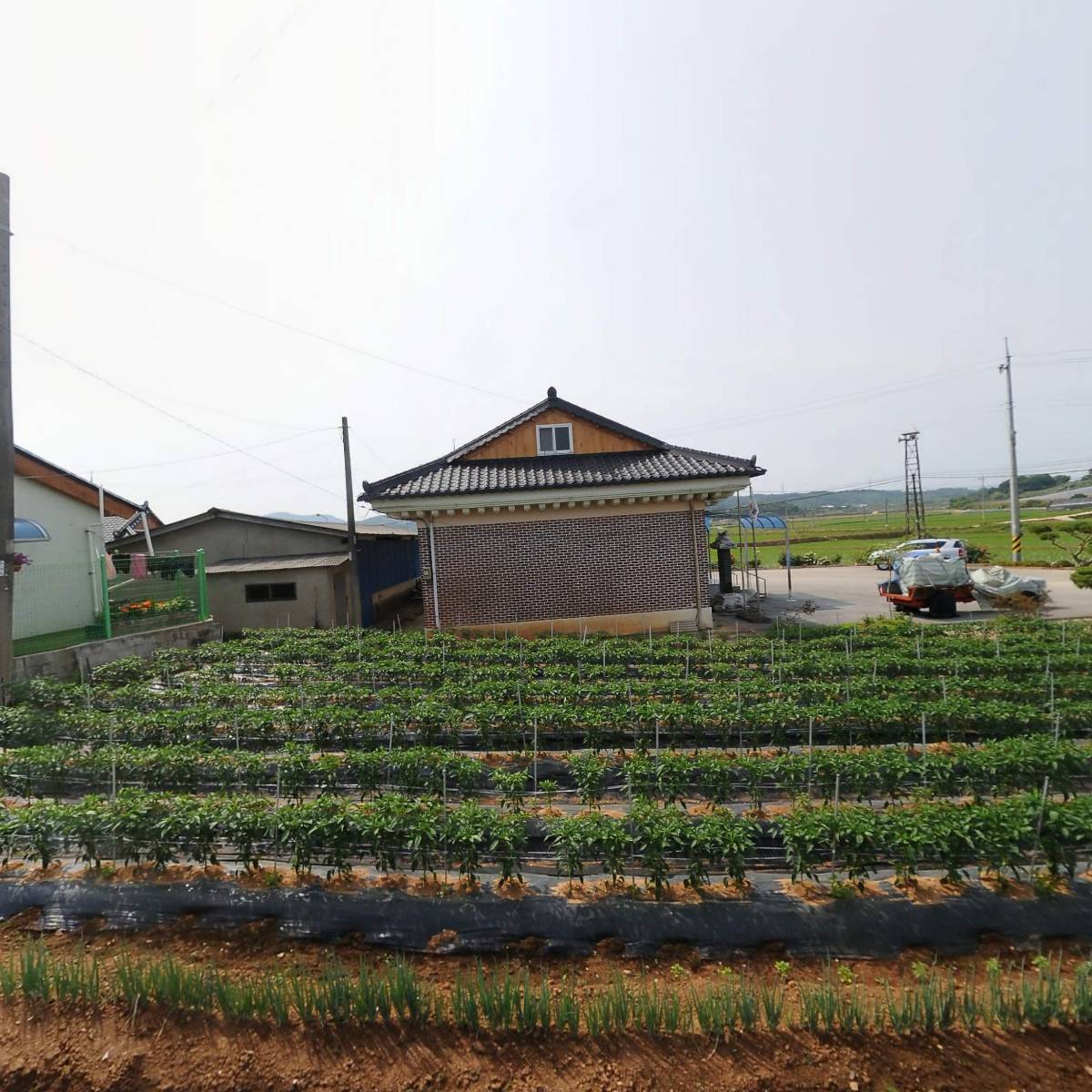 유치마을공동체