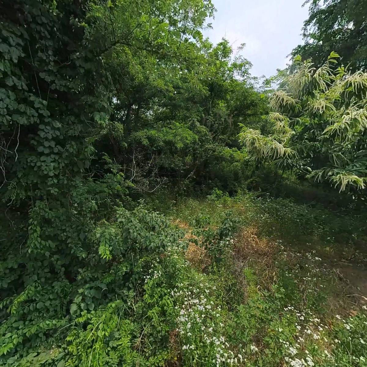 에스티하우징_3