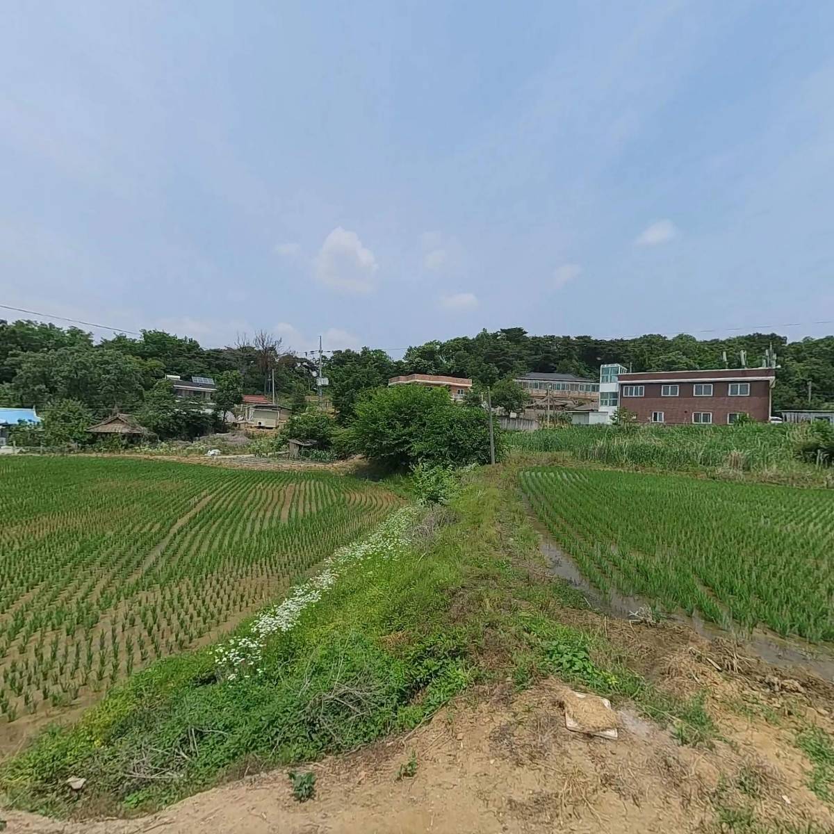 농업회사법인 주식회사 세인팜텍