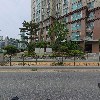 디써클