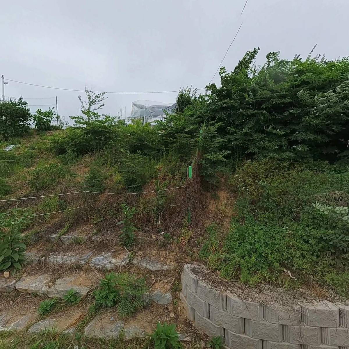 한가족매운탕_3