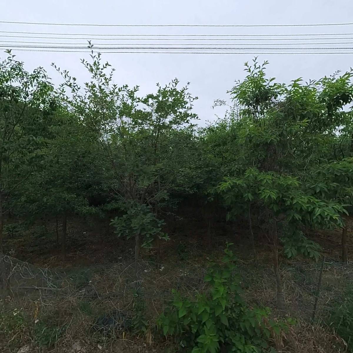 더케이오토모터스