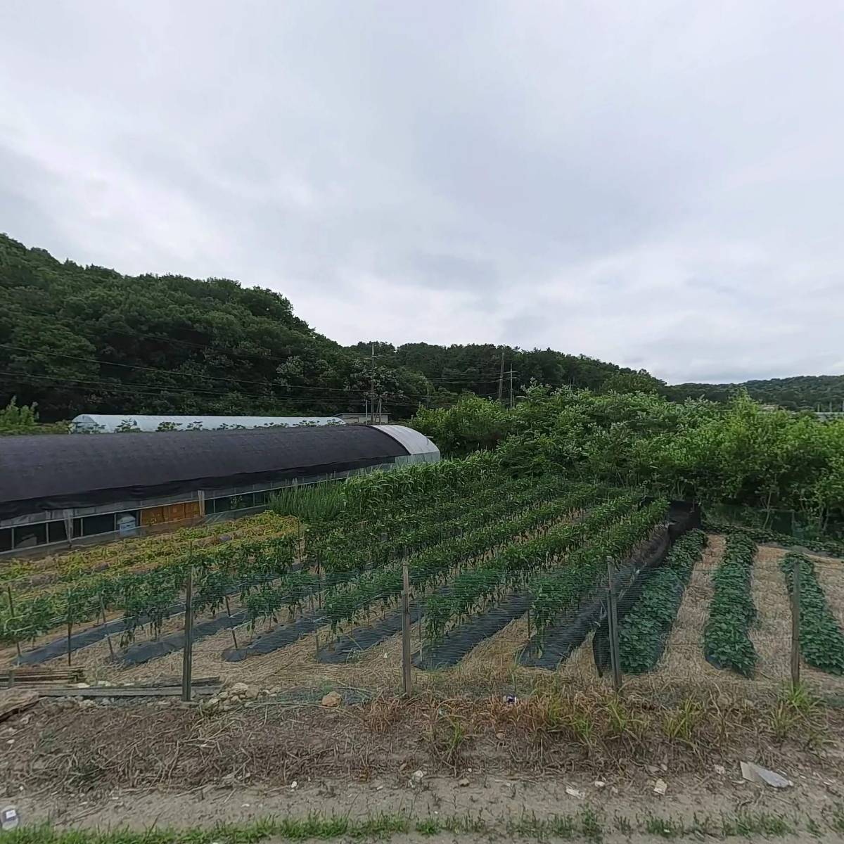 농업회사법인 제이제이푸드시스템(주) 천안공장