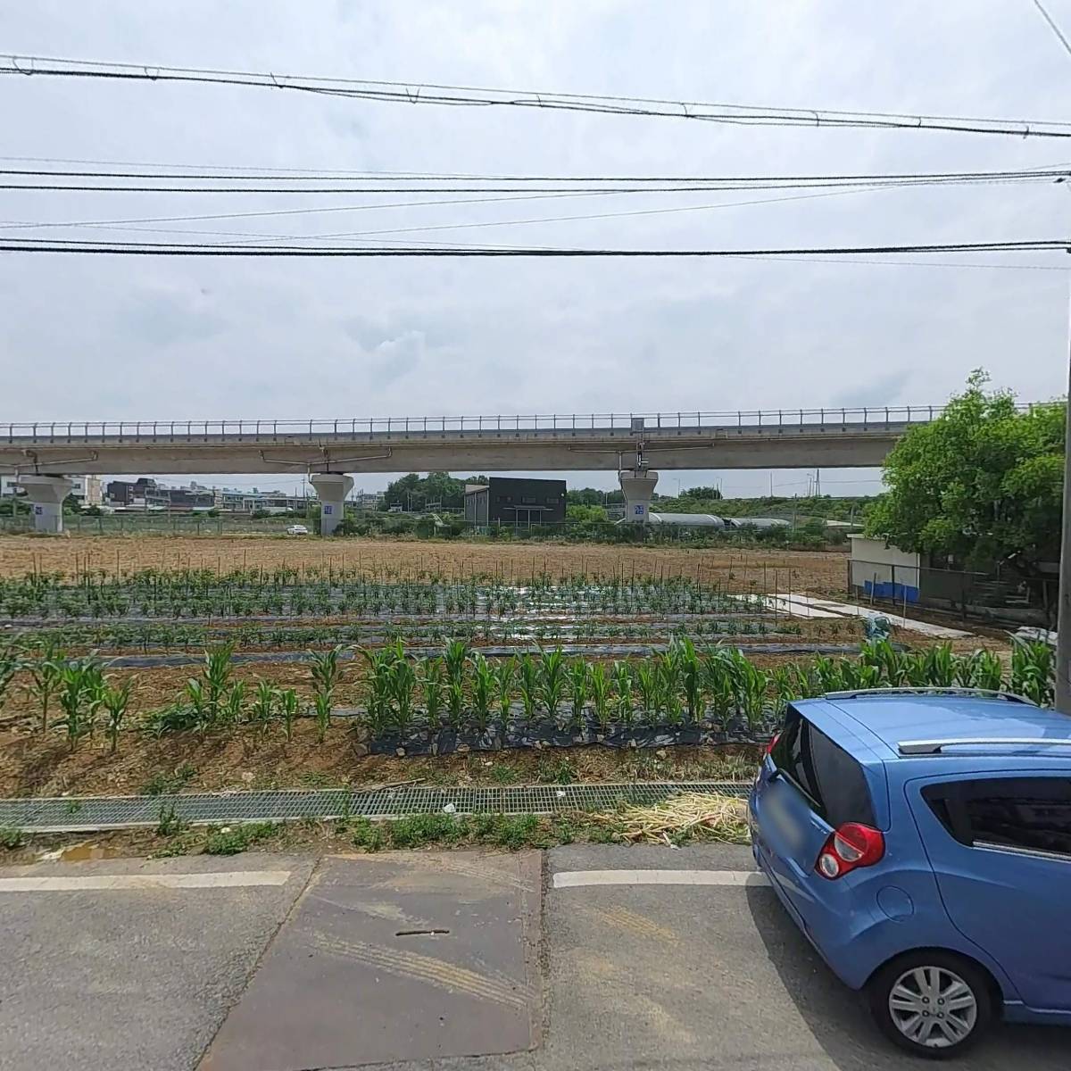 최상조 일반화물