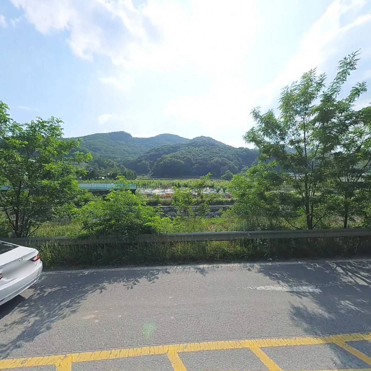 （주）숲으로벽지_3