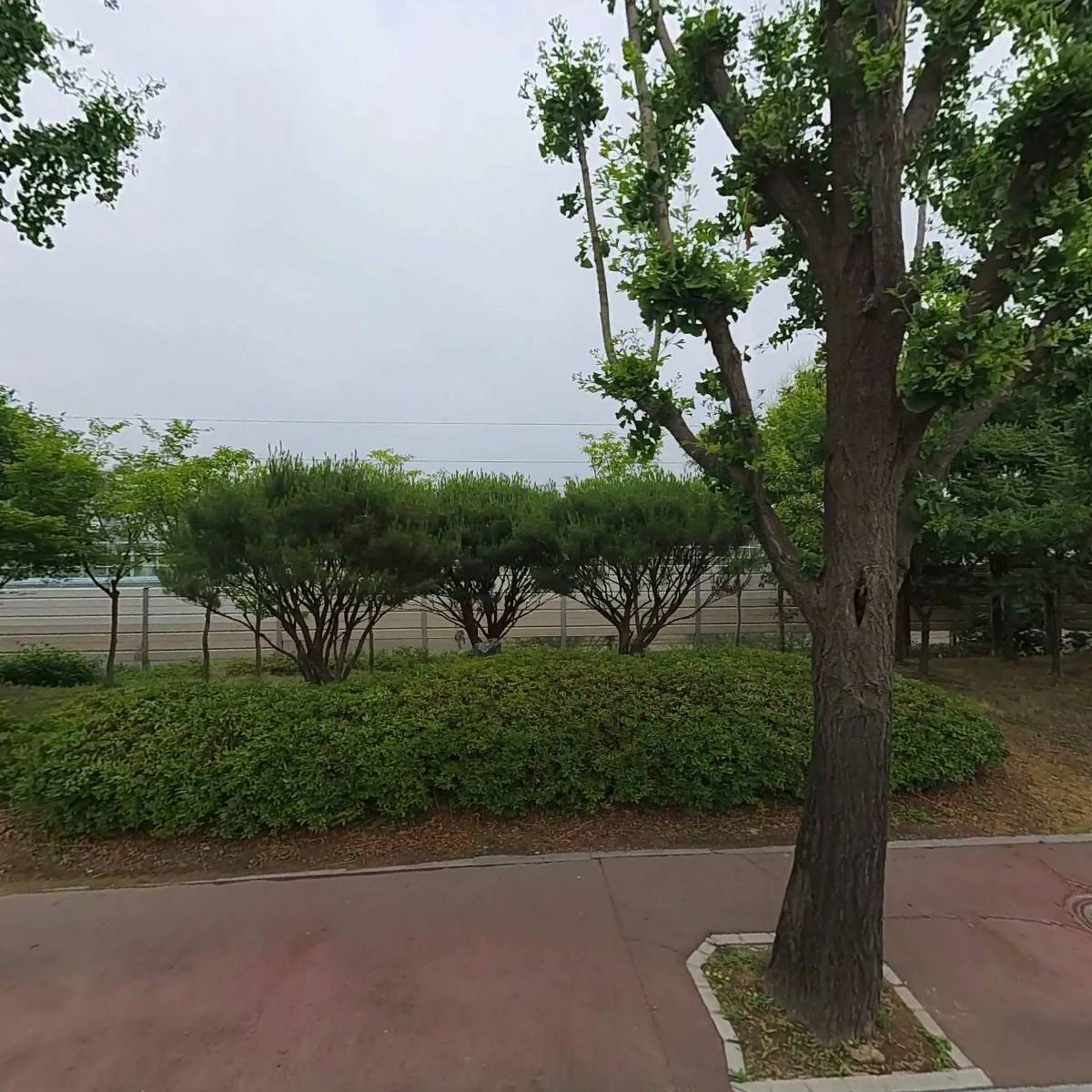 대보