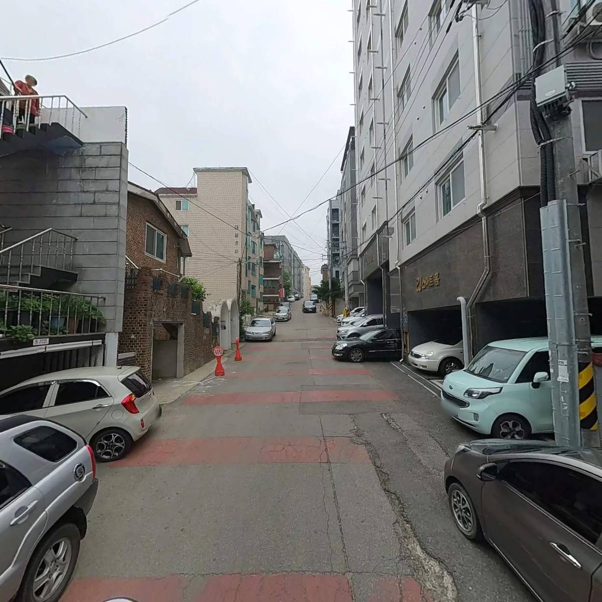 봉크(BONC)_2