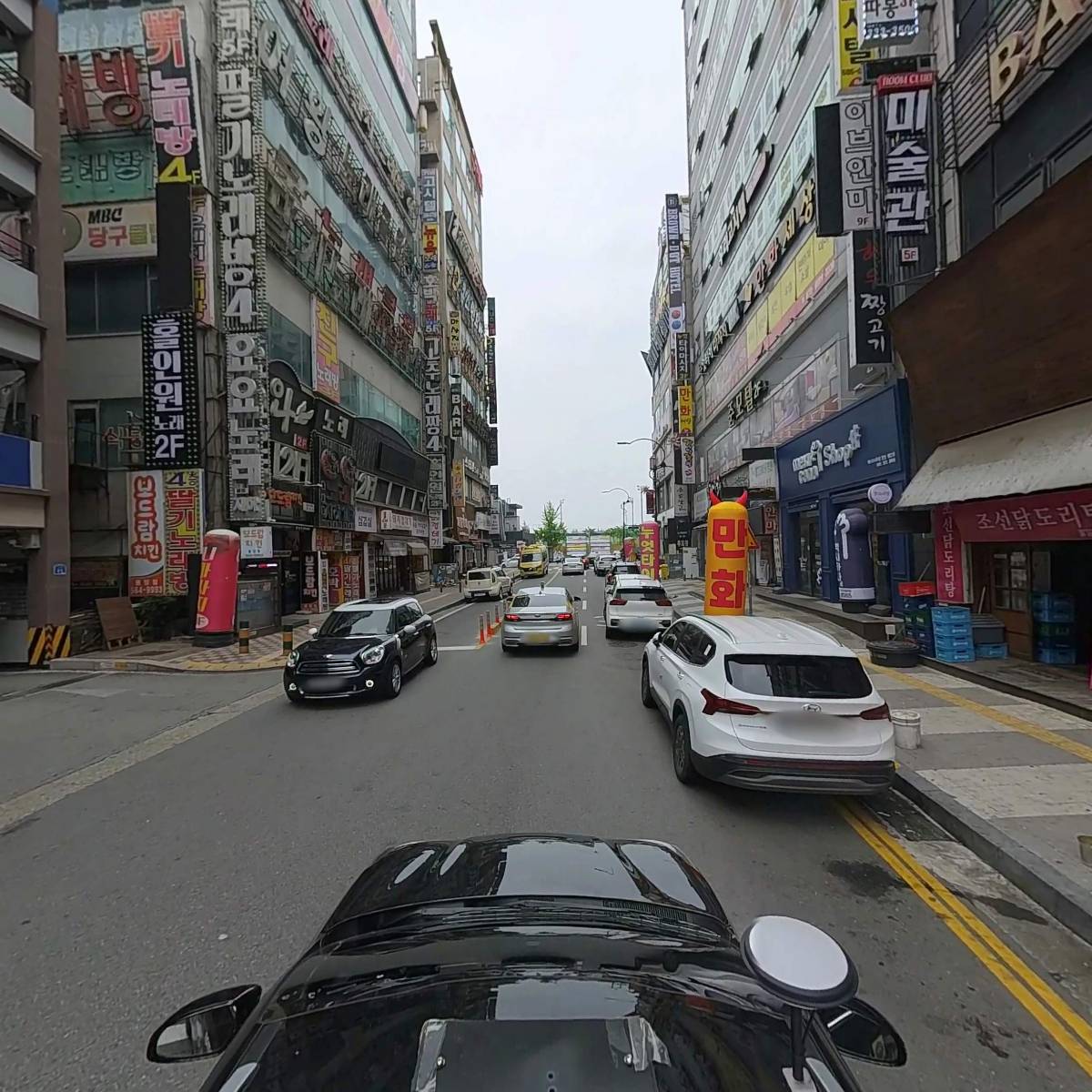 코모도_4