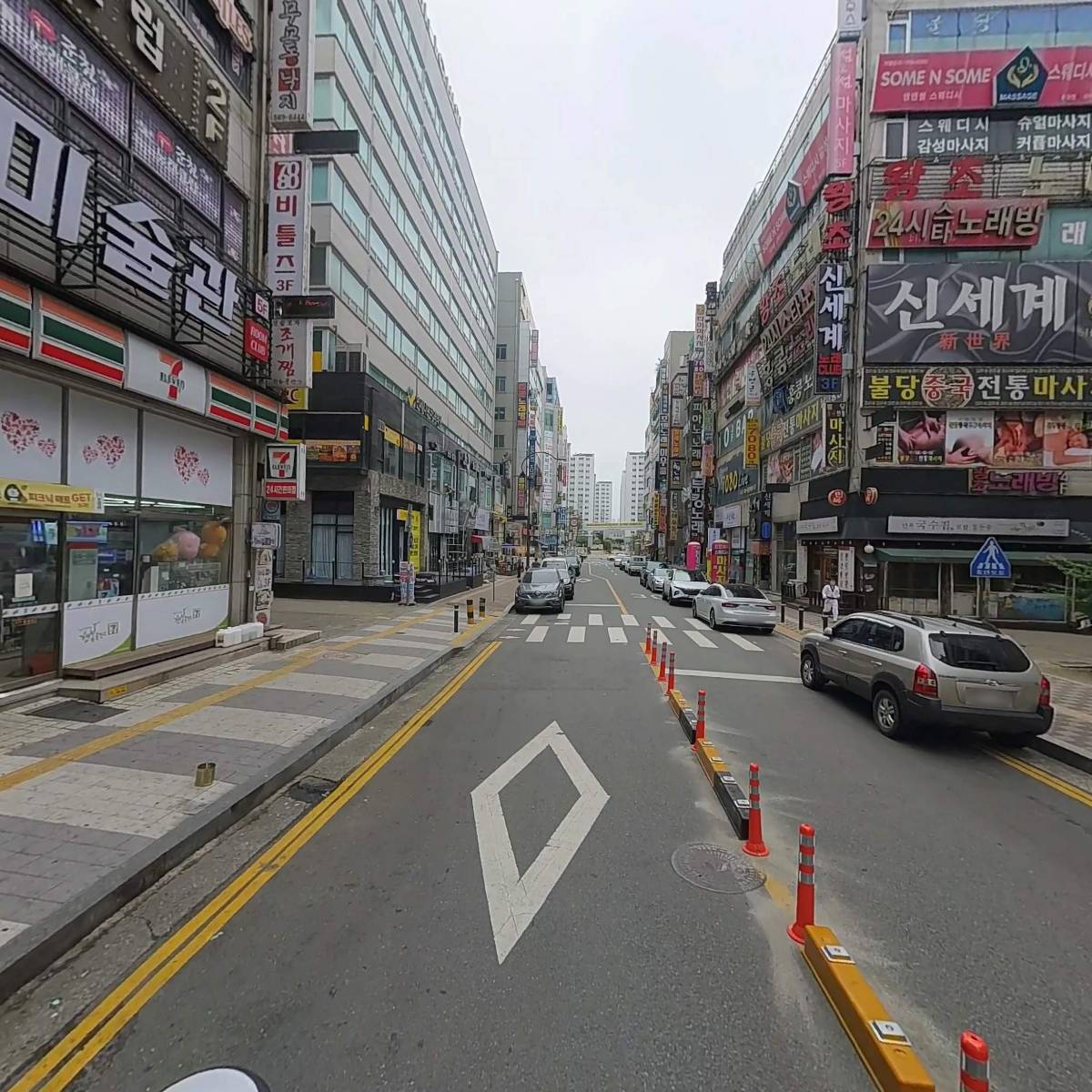 코모도_2