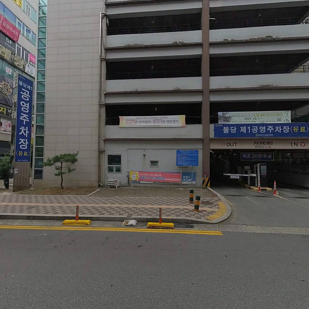 코모도_3