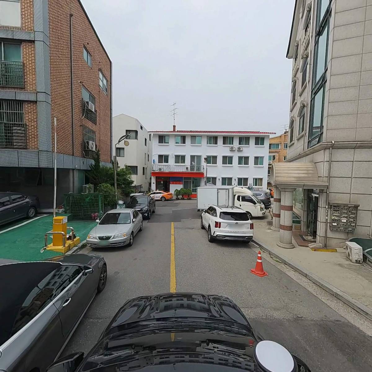 리노_4