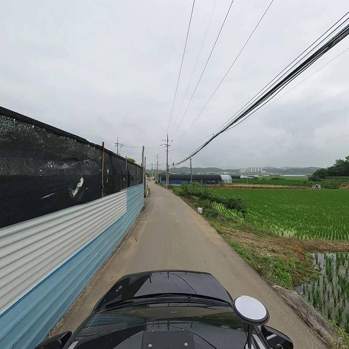 구르미유_4