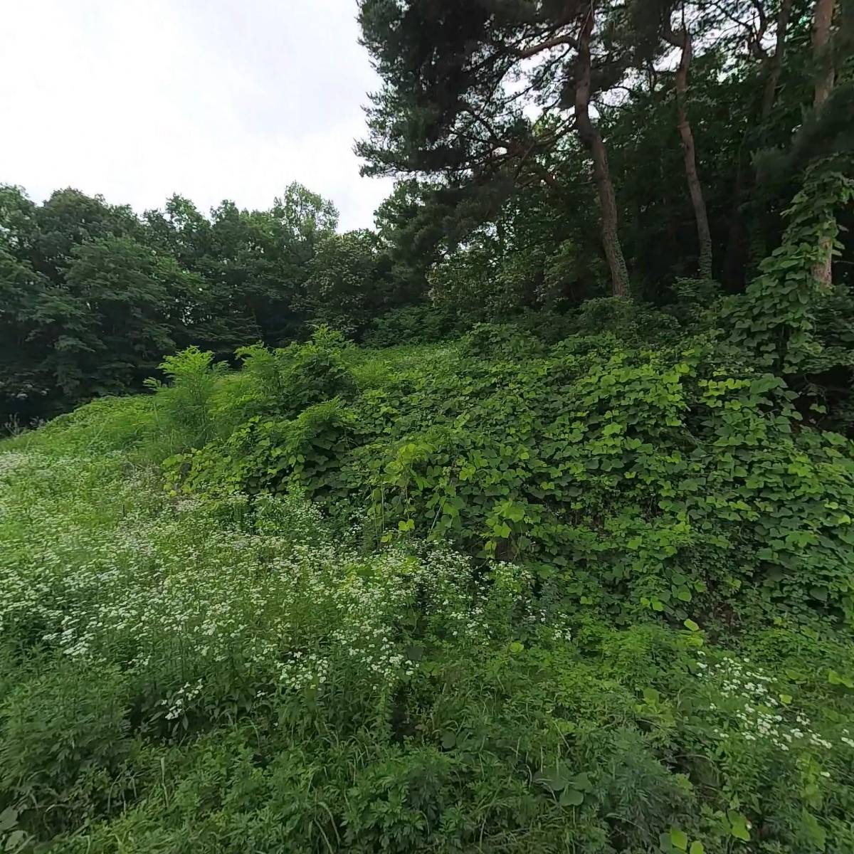 한국독립교회선교단체연합회 이은교회