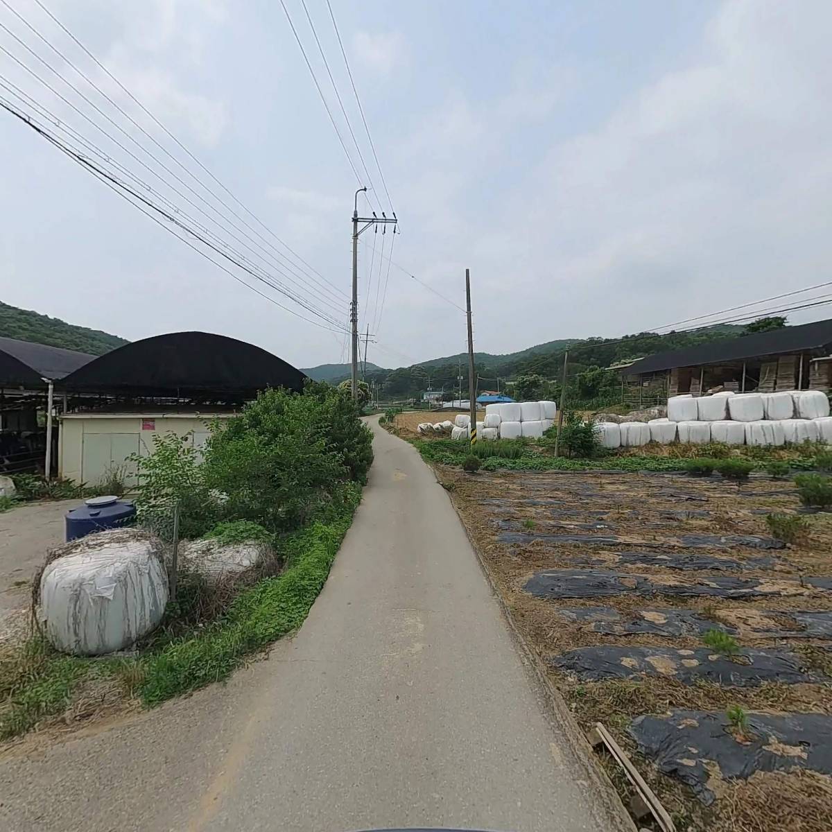 새당골목장_2