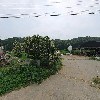 새당골목장
