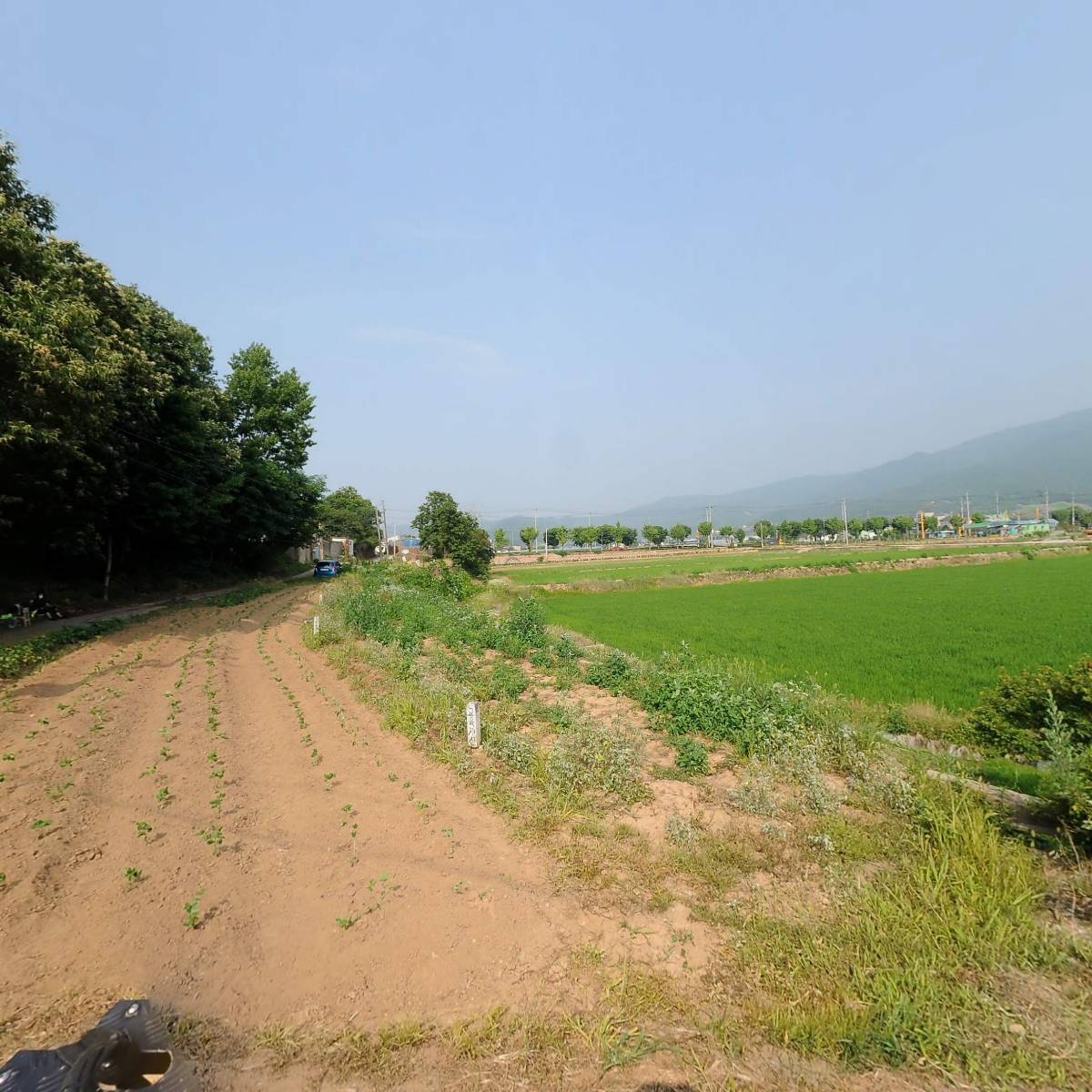 (주)디핀다트코리아