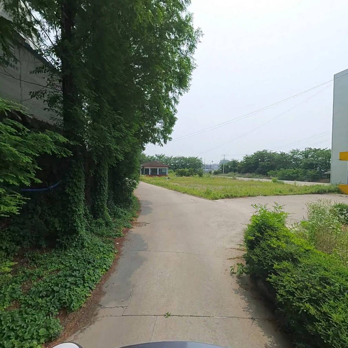 세화_2