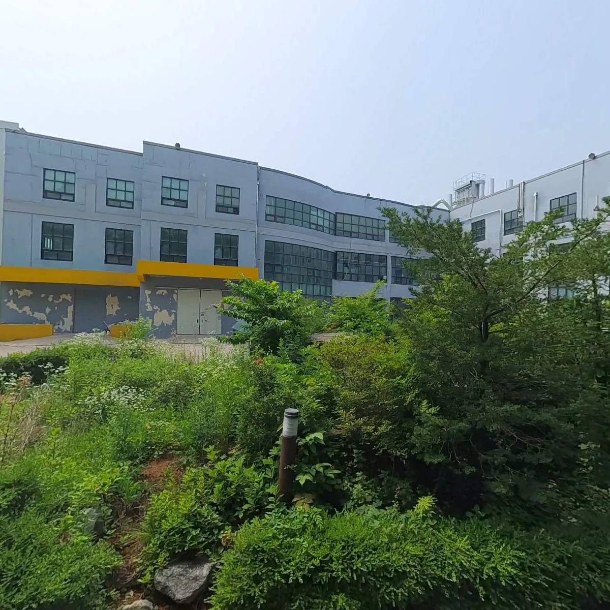 세화_3