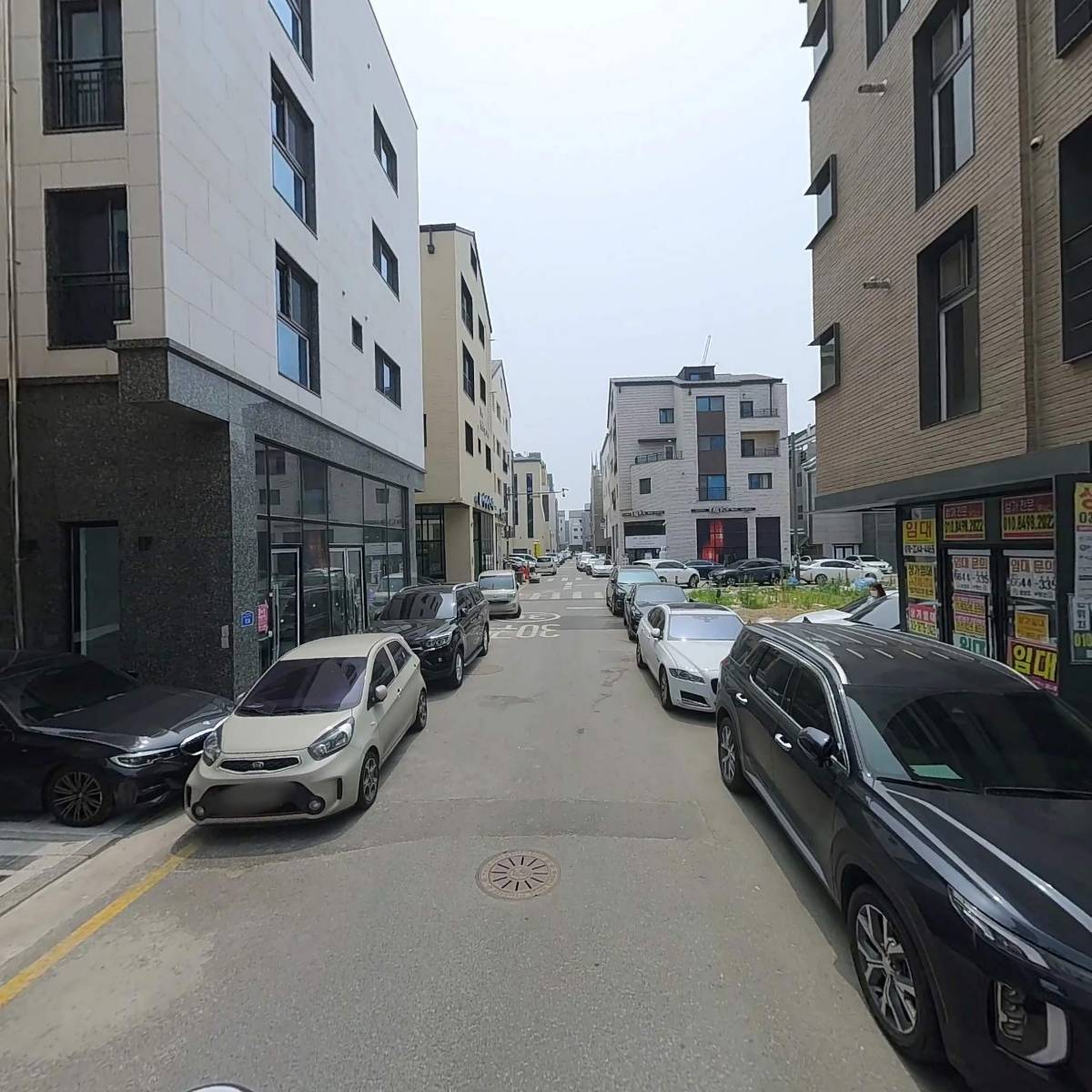 이카타코야끼_2