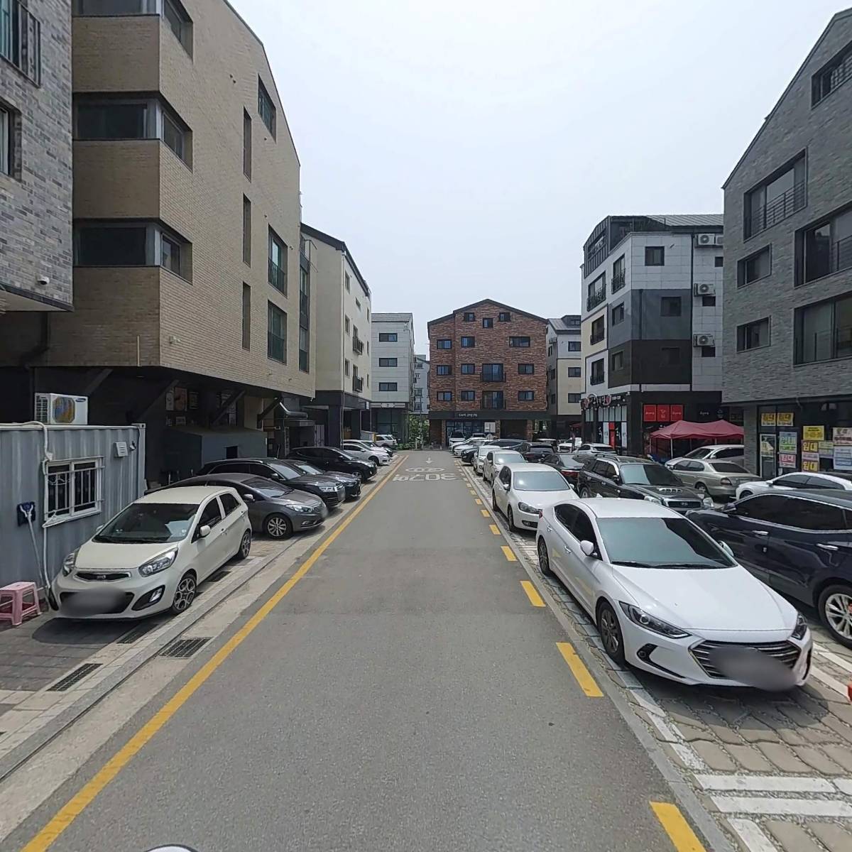 김명자낙지마당_2