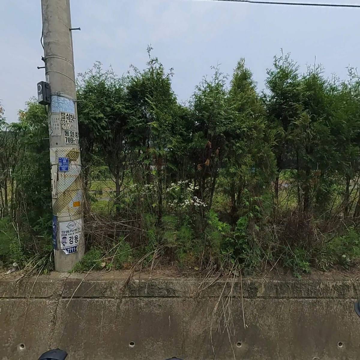 주식회사 매직골드