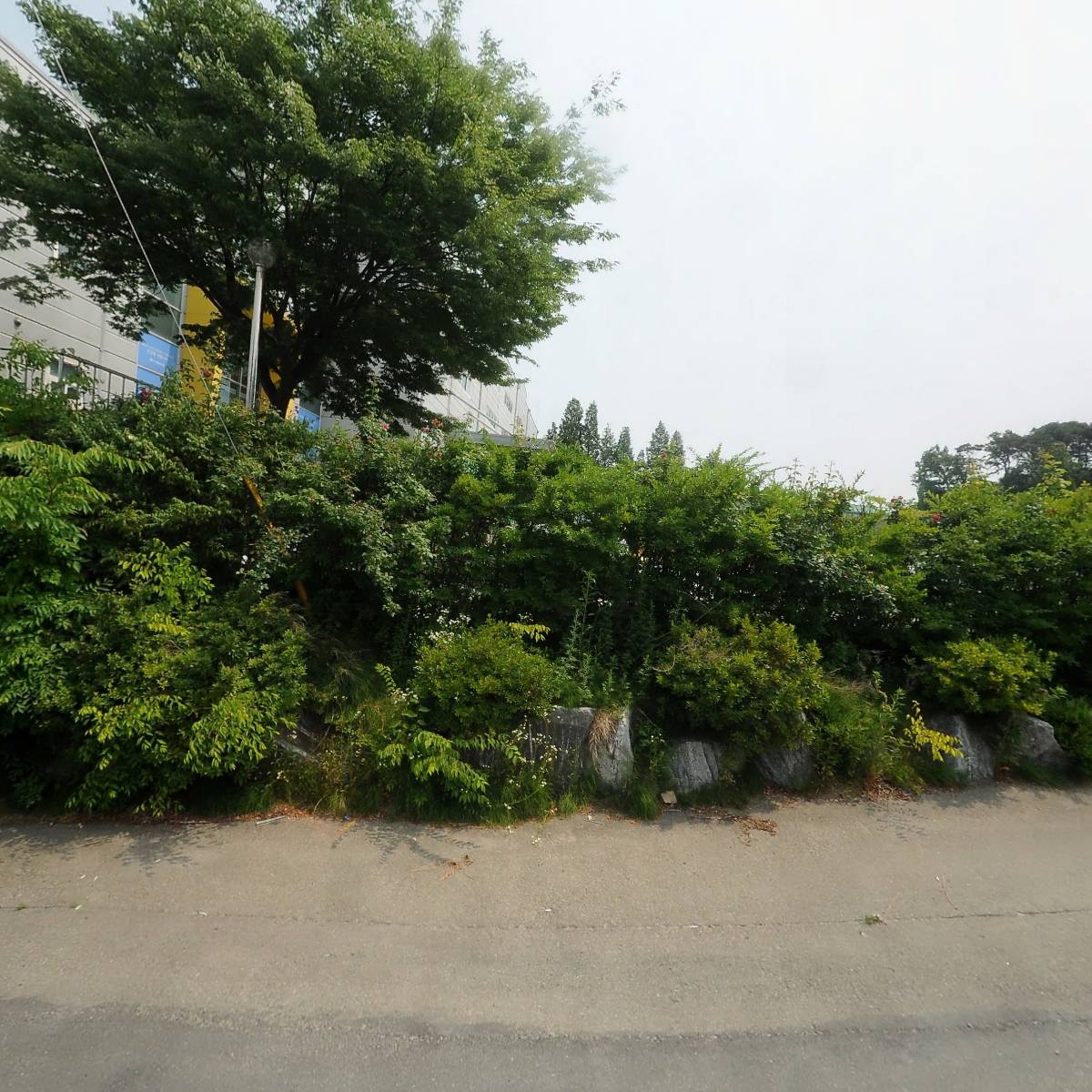 한국토탈지게차_3