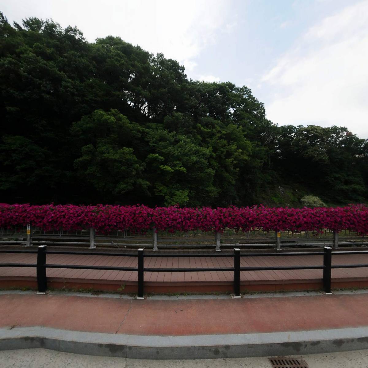 전북진안지역자활센터(크로엔젤 진안점)