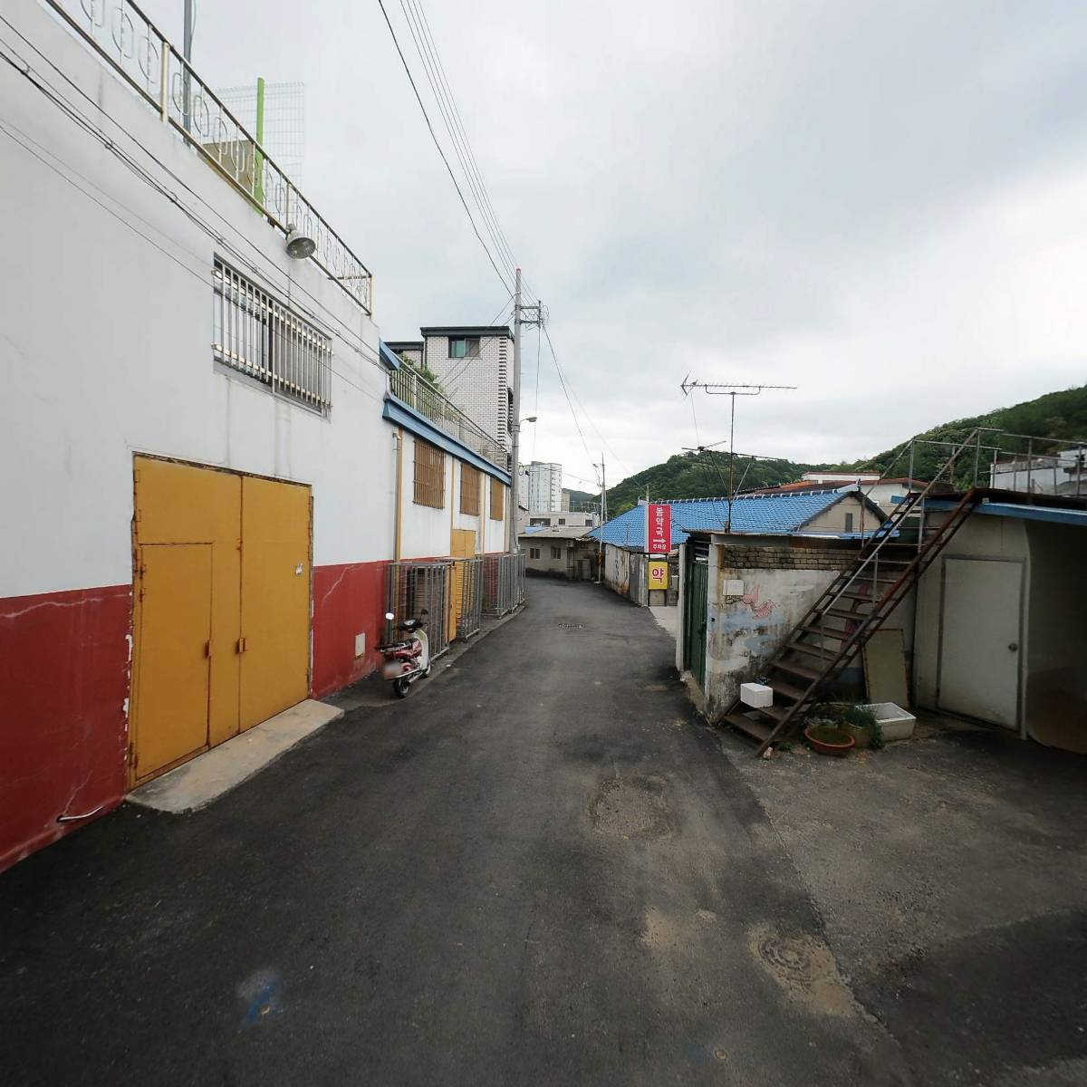 농업회사법인 주식회사 한국인삼_2