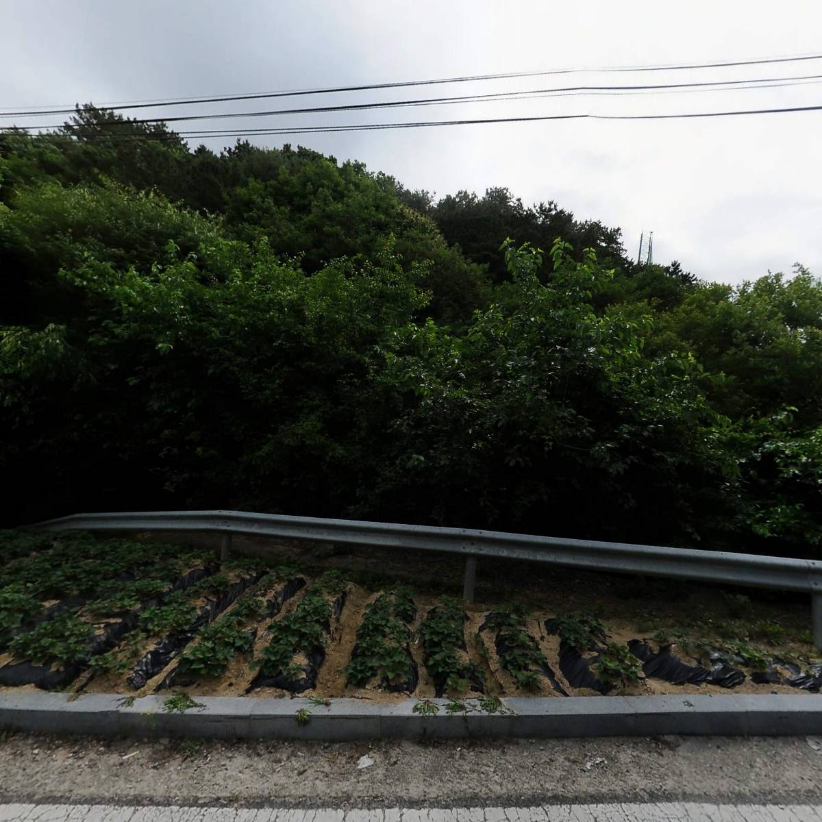 사）한국음악협회 진안지부_3