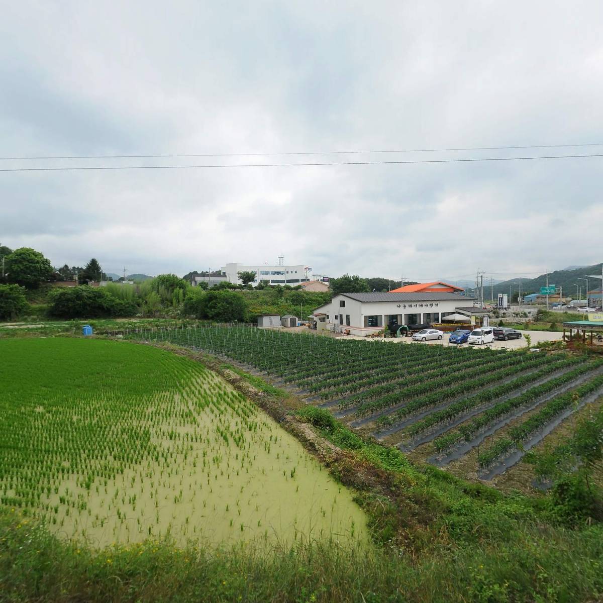 진안군 보건소