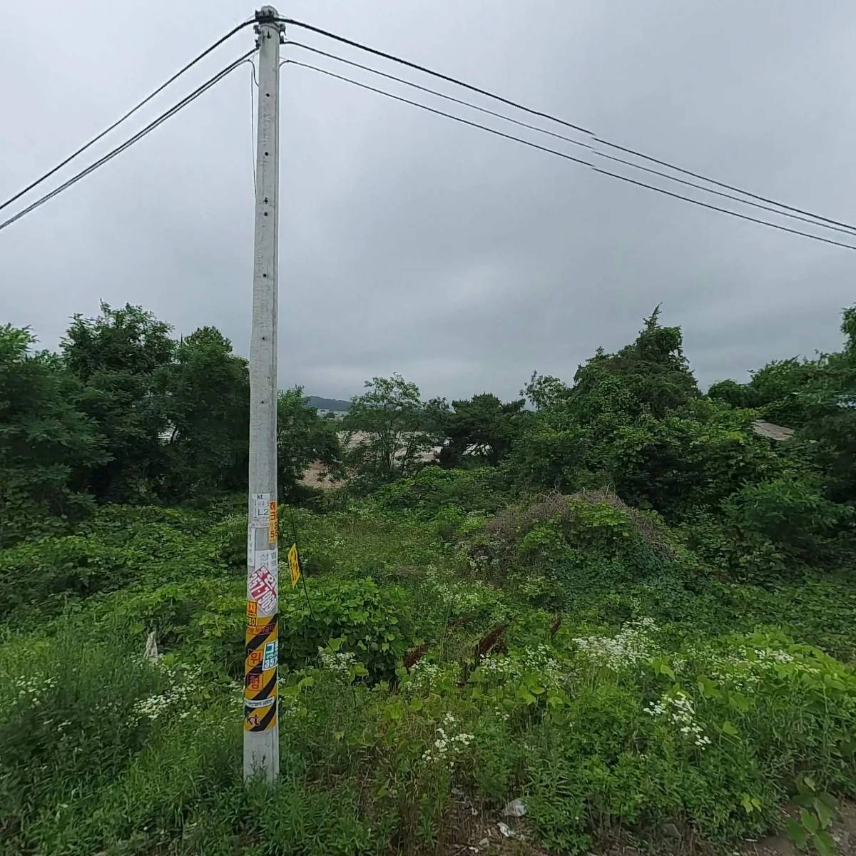 벤딩캐리어주식회사