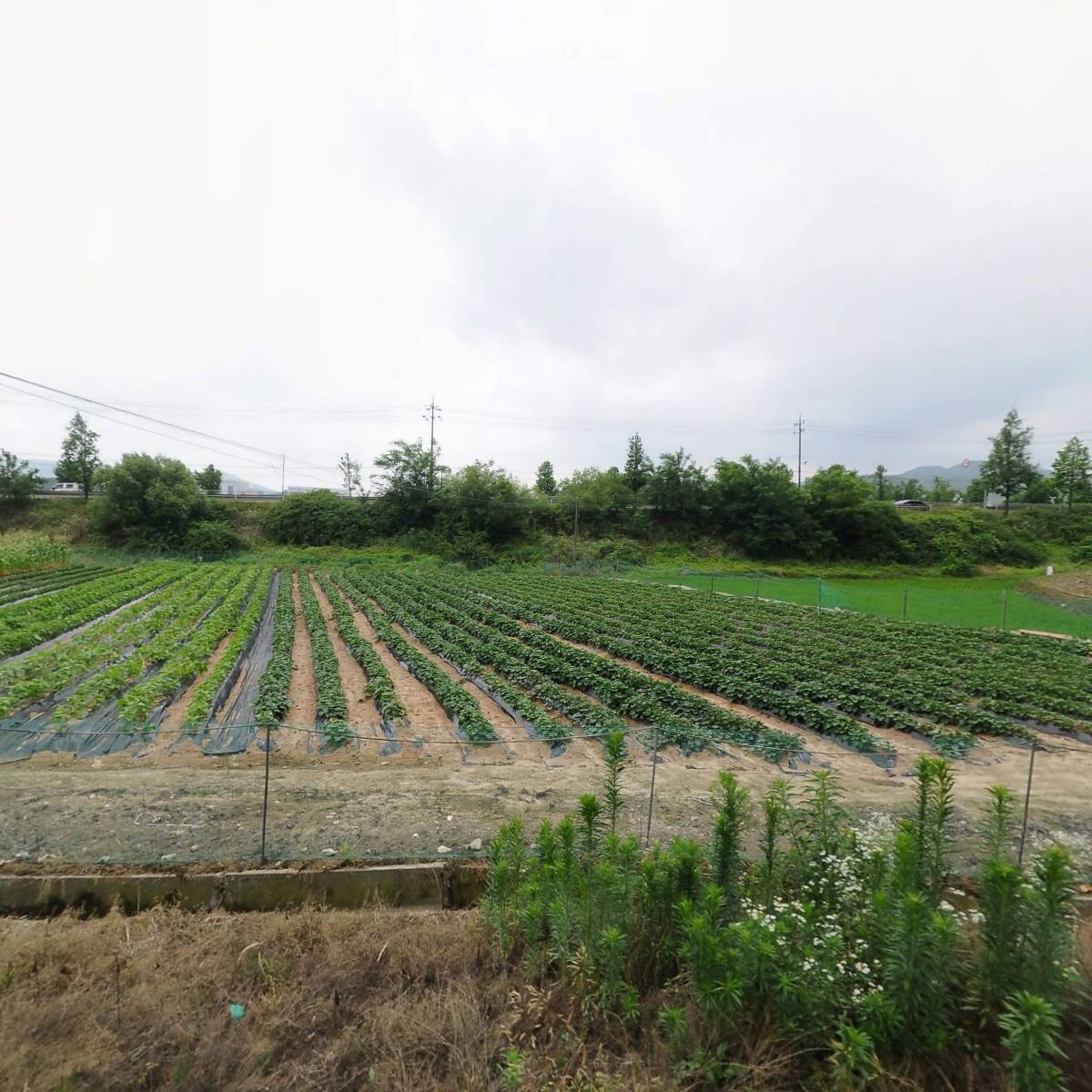 죽산종합폐차 주식회사