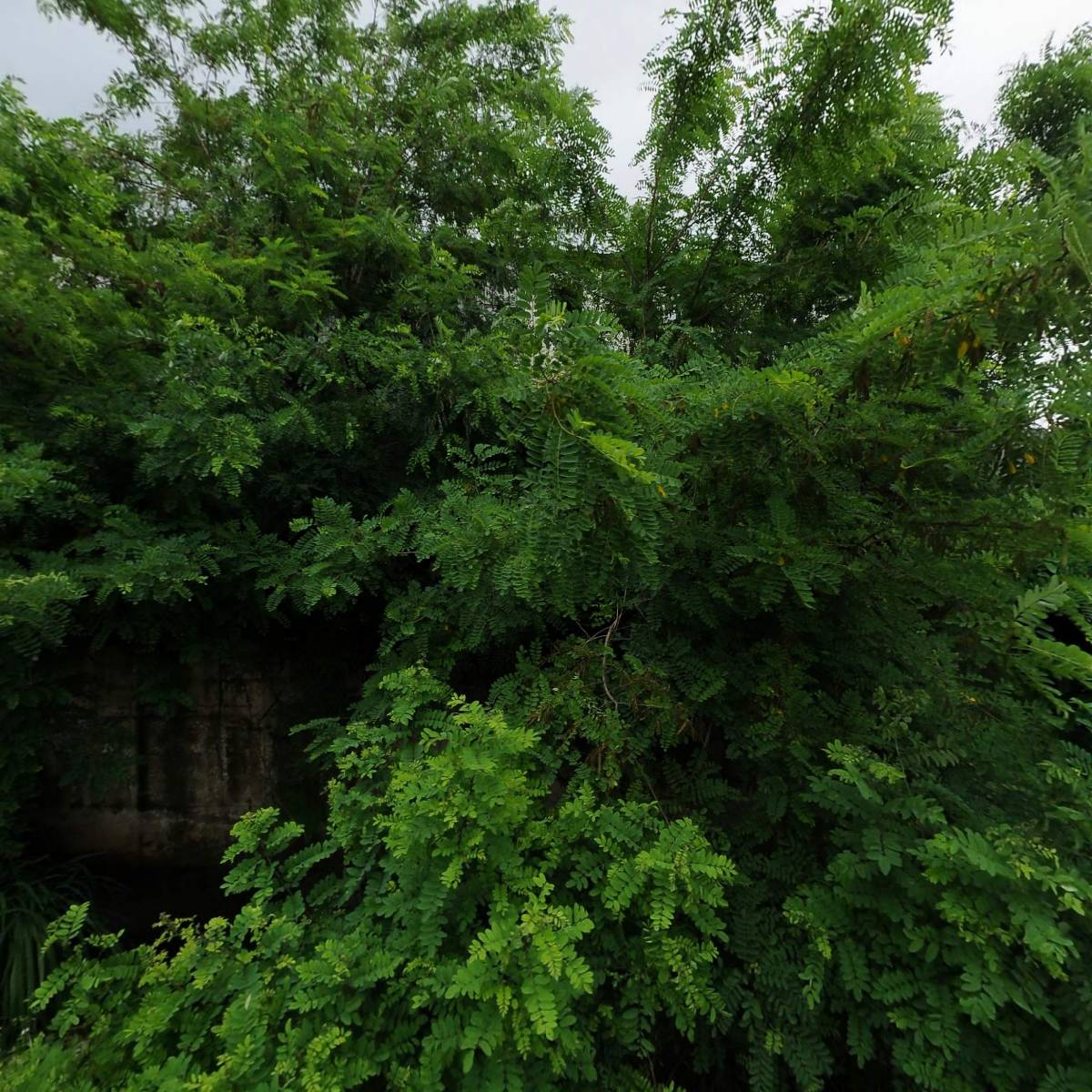 죽산종합폐차 주식회사_3