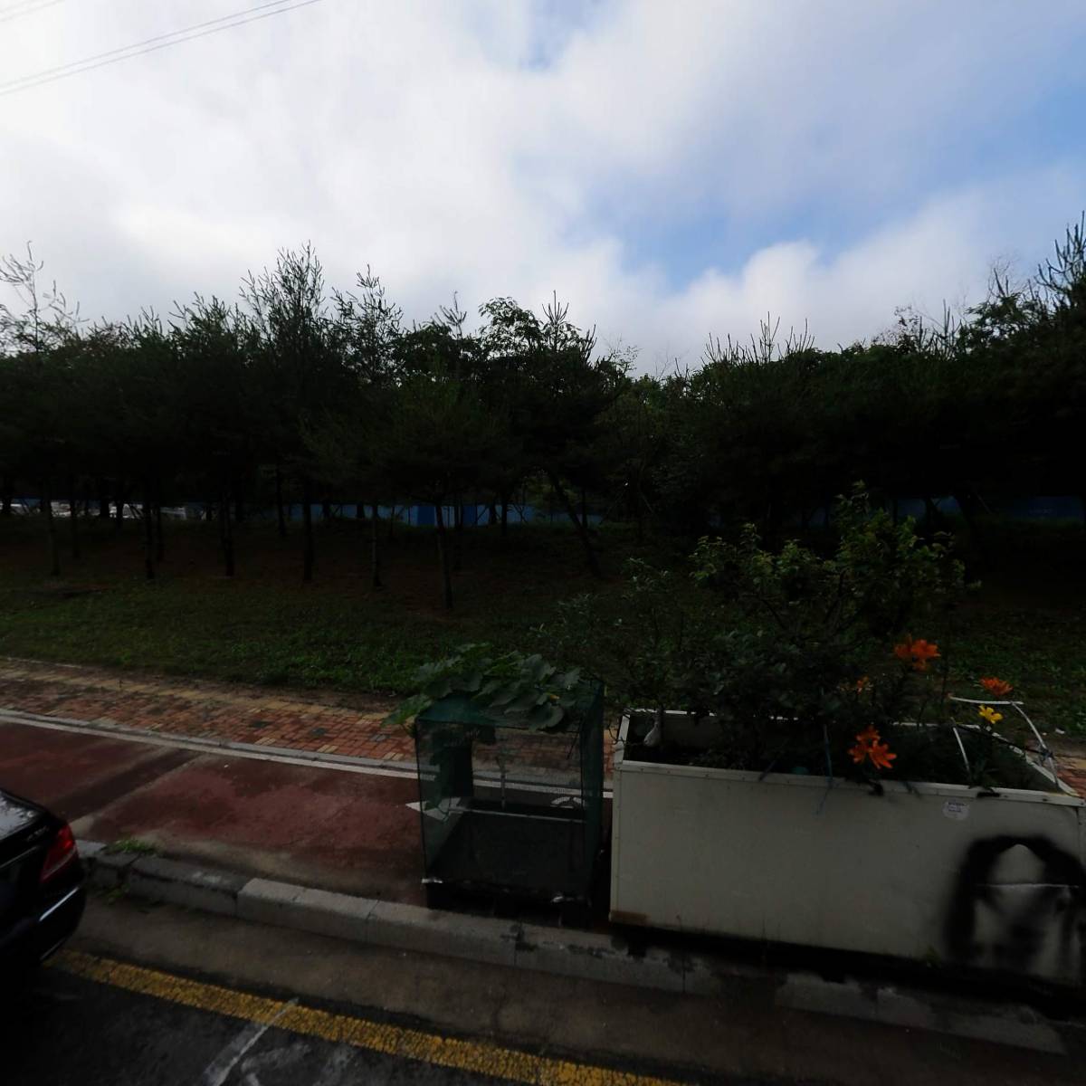 (주)코퍼스