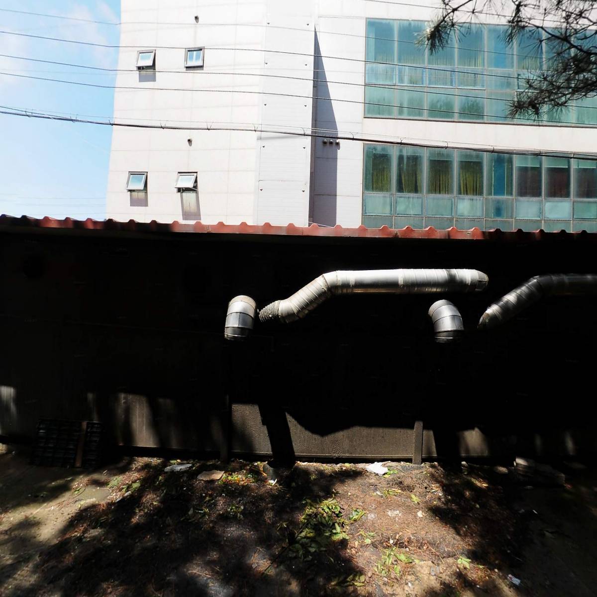 양자강_3