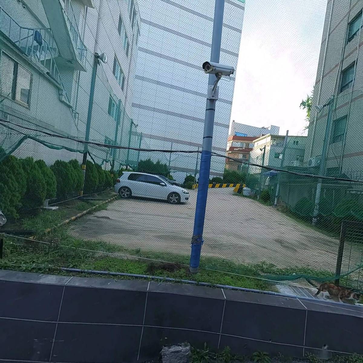 에피파니 주식회사