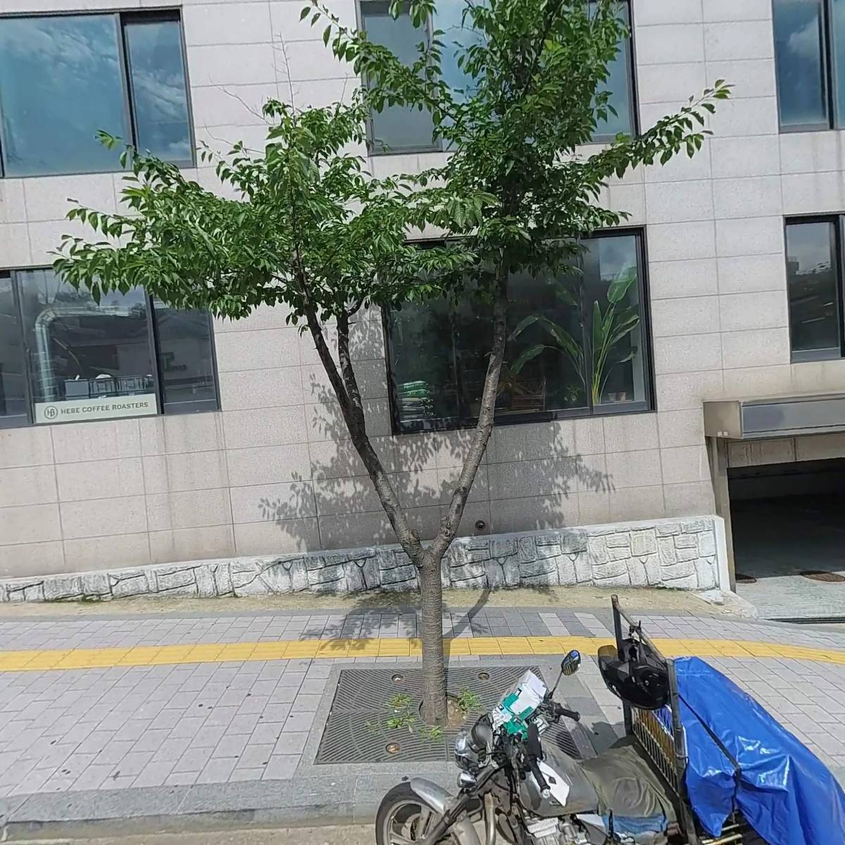 코난디자인