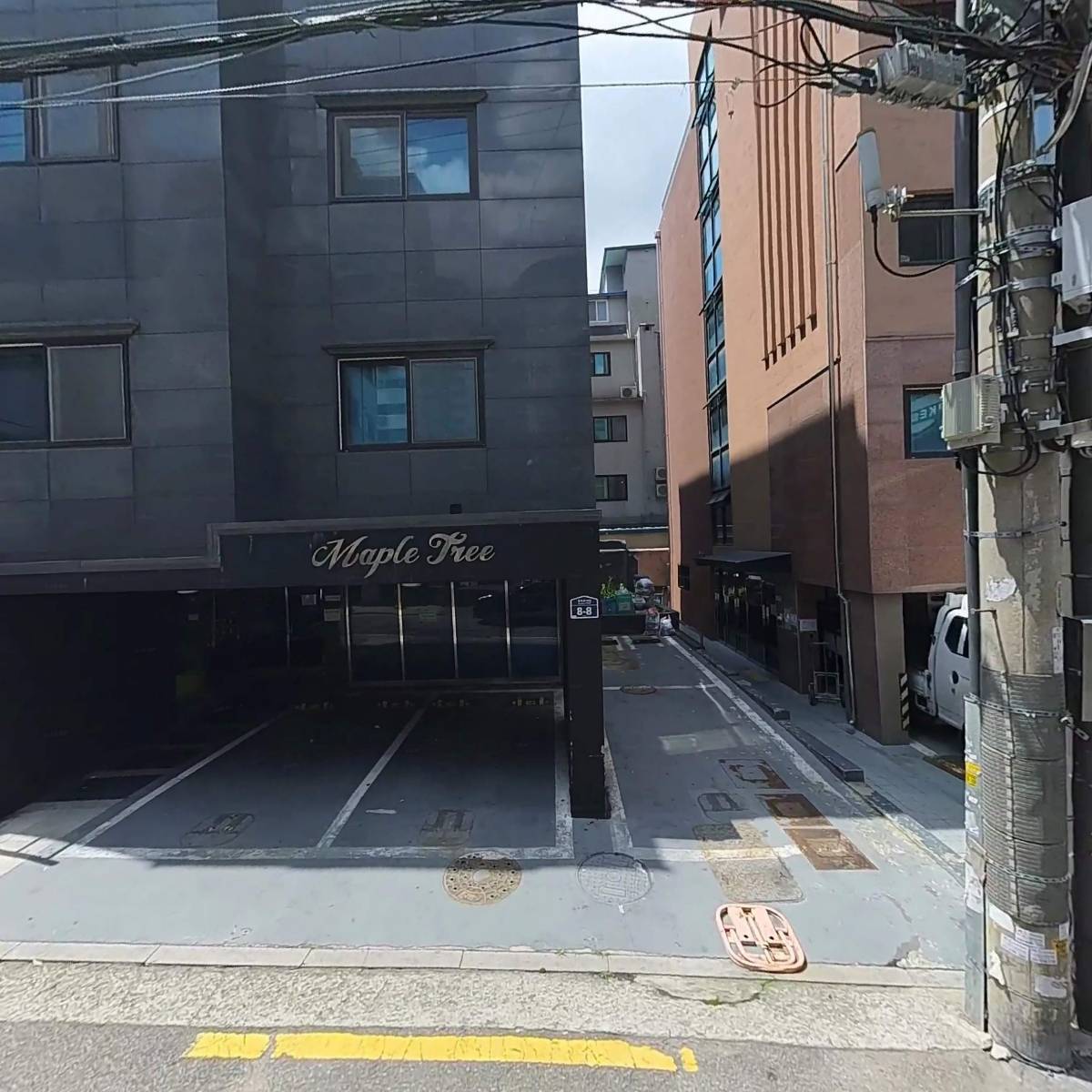 메이플트리(MapleTree)