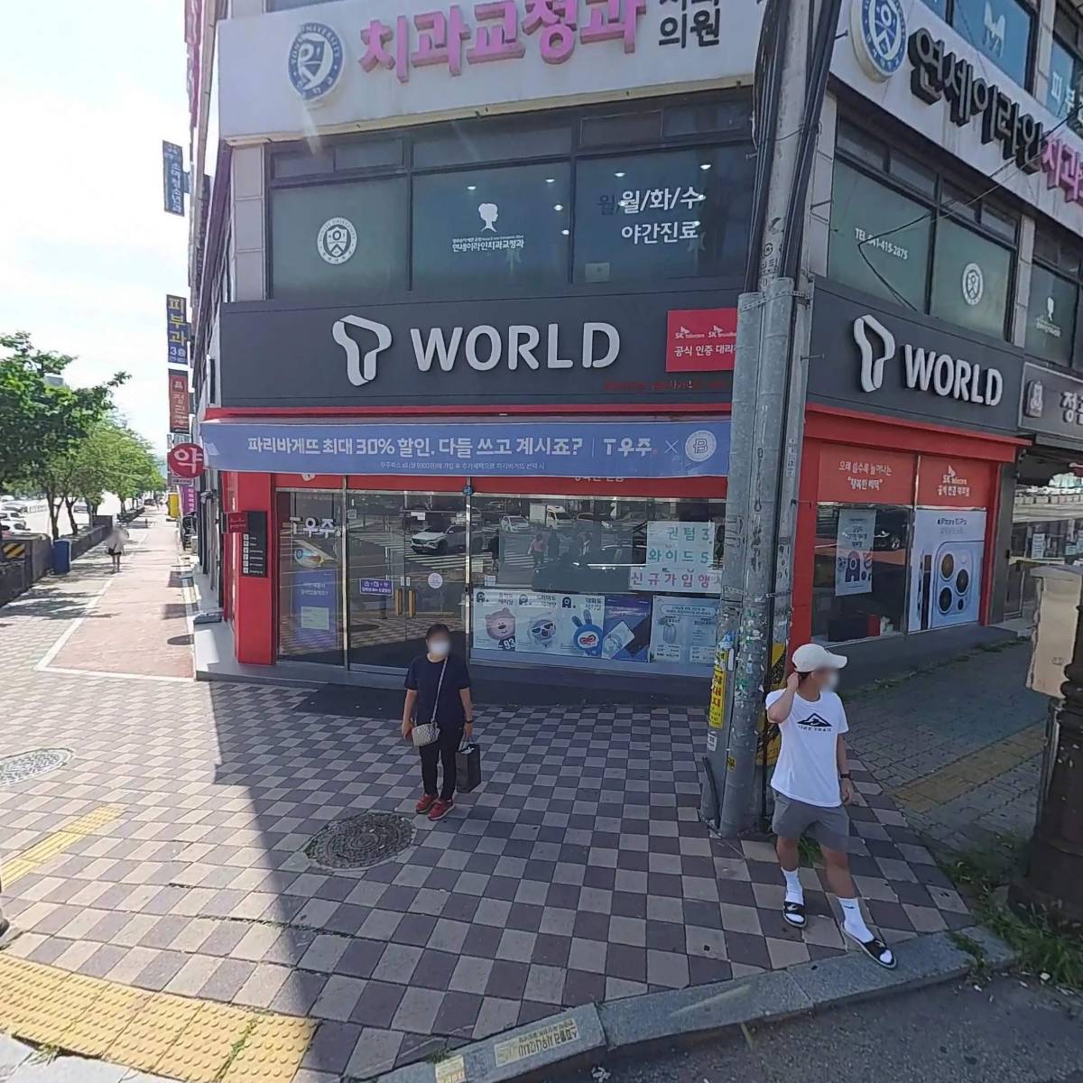 정관장홍삼성정점