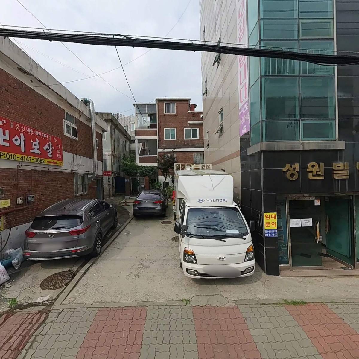 샤델리(SHADELY)