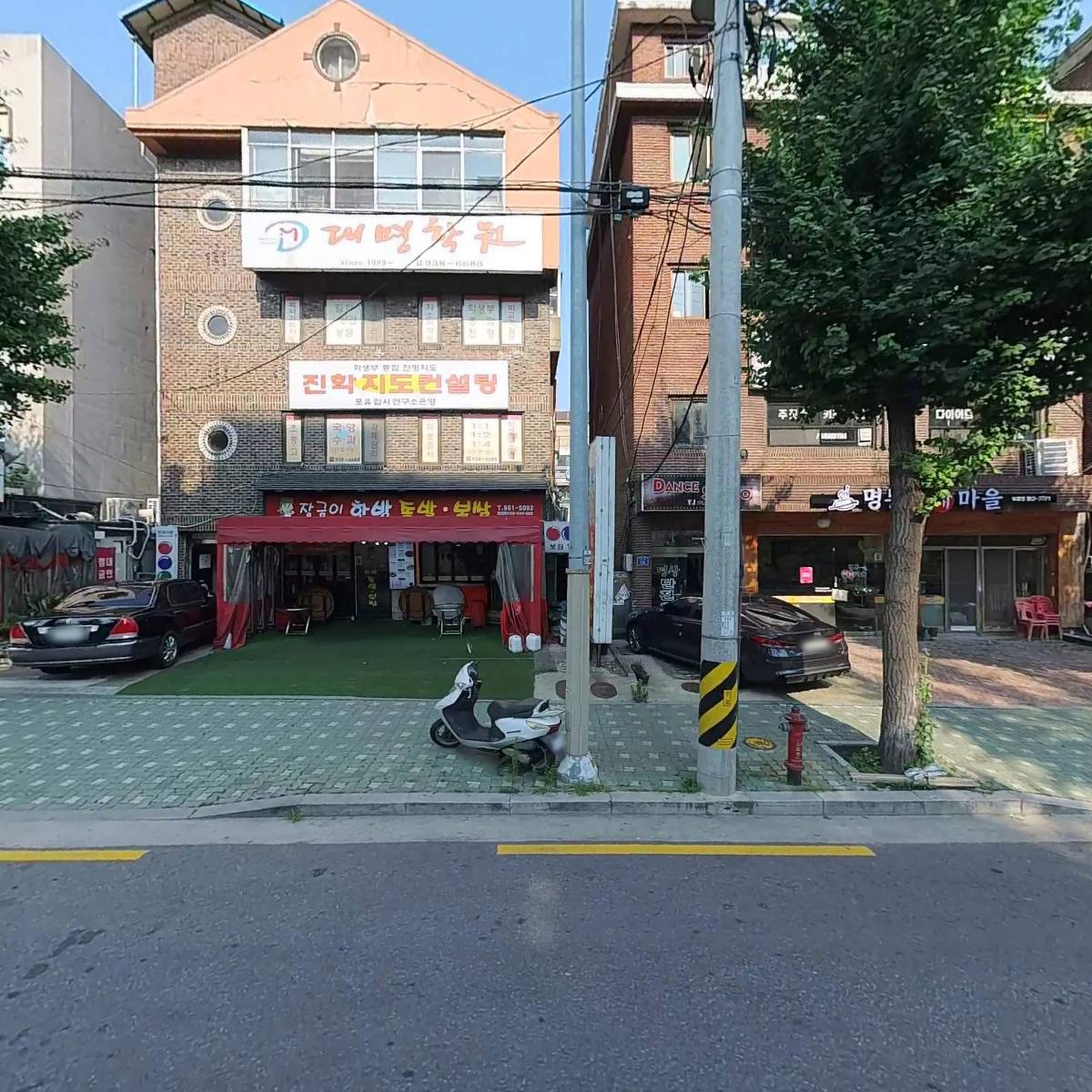 제주 까망 돼지