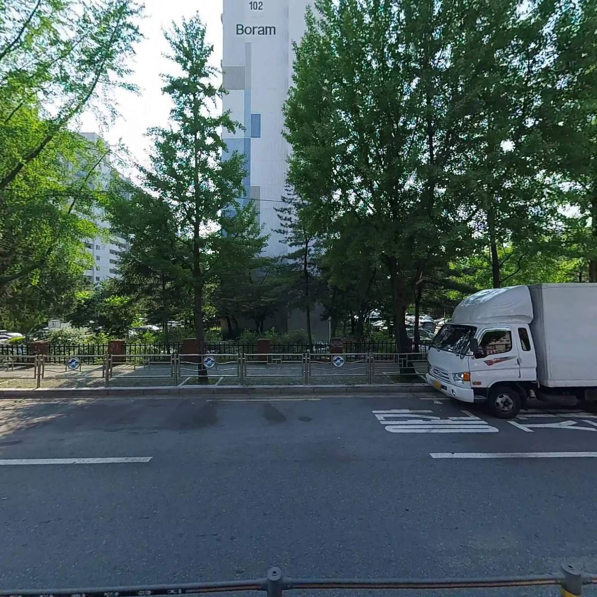 제주 까망 돼지_3