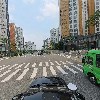 마젠타그린(magenta green)_4