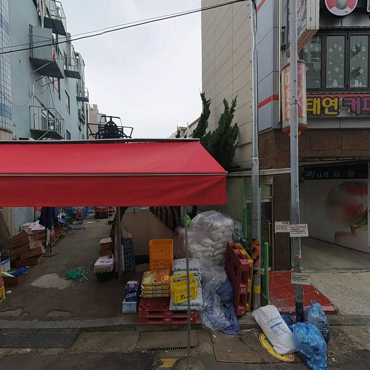 취일당_3