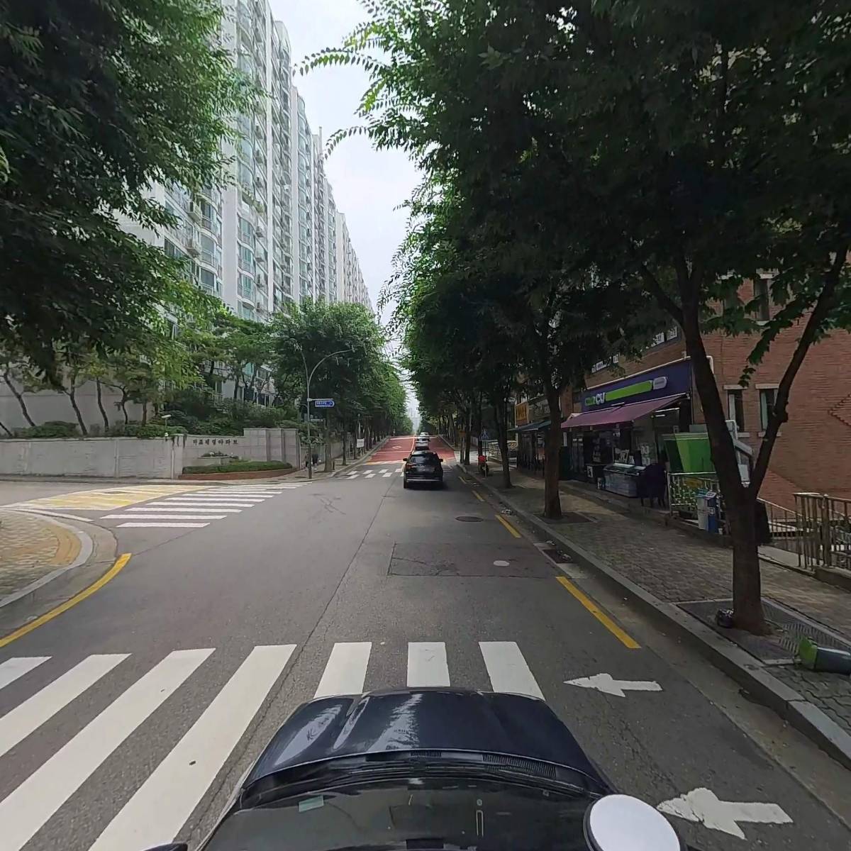 주식회사 더셀바이오_4