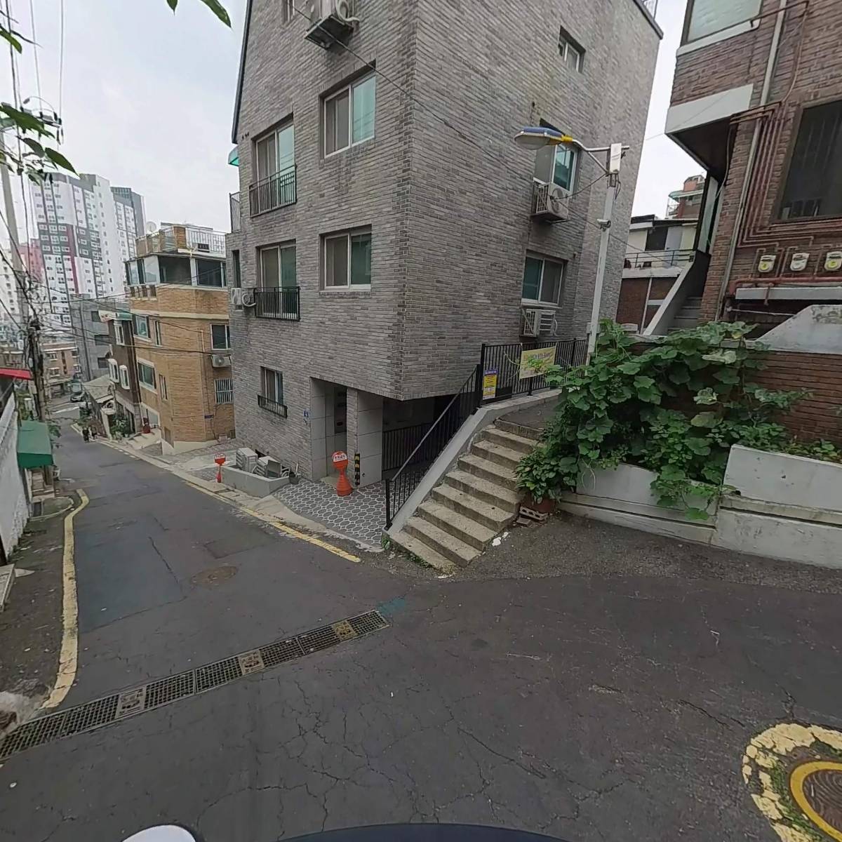 C.T.종합동물병원_2