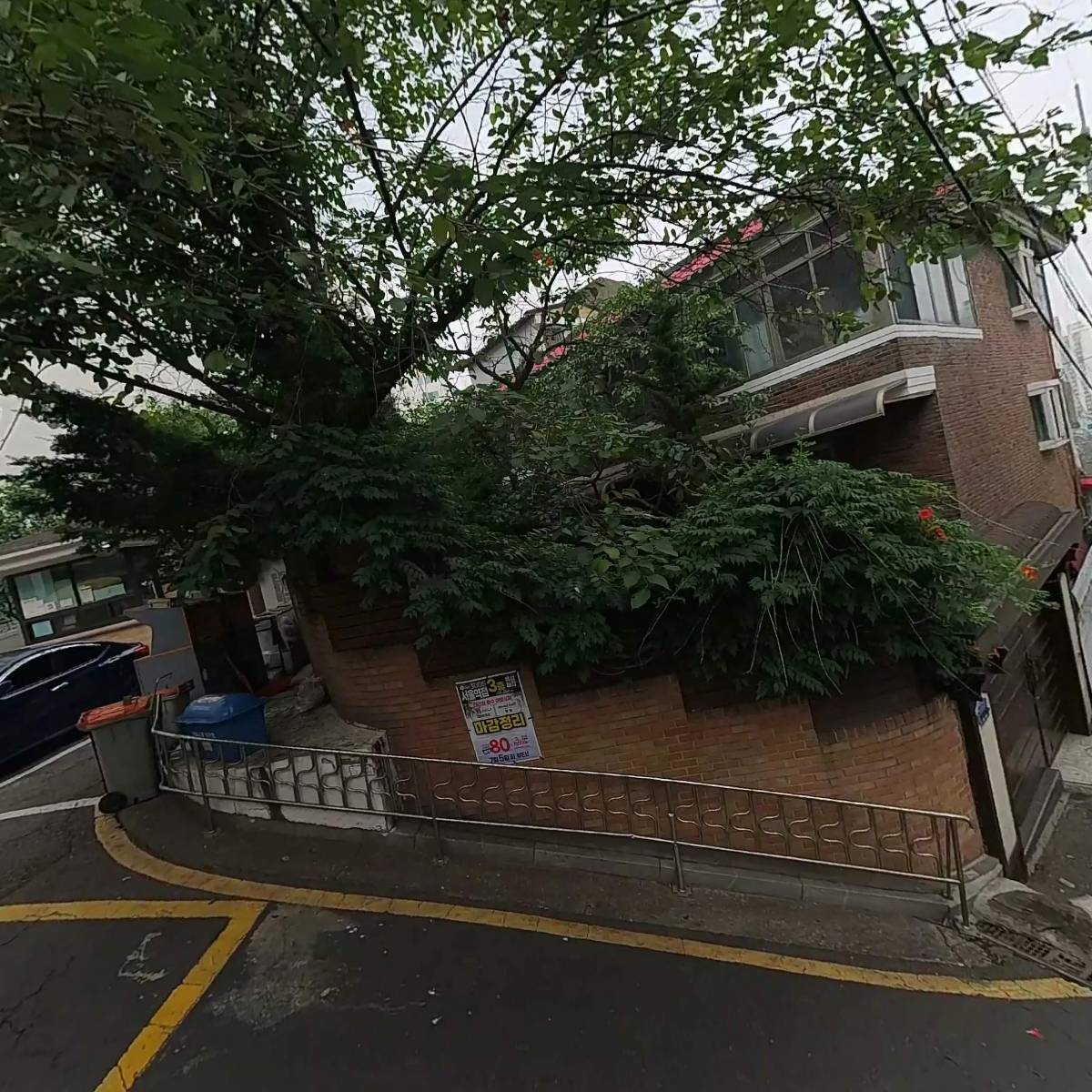 C.T.종합동물병원